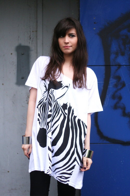 zebra-3 zebra-3