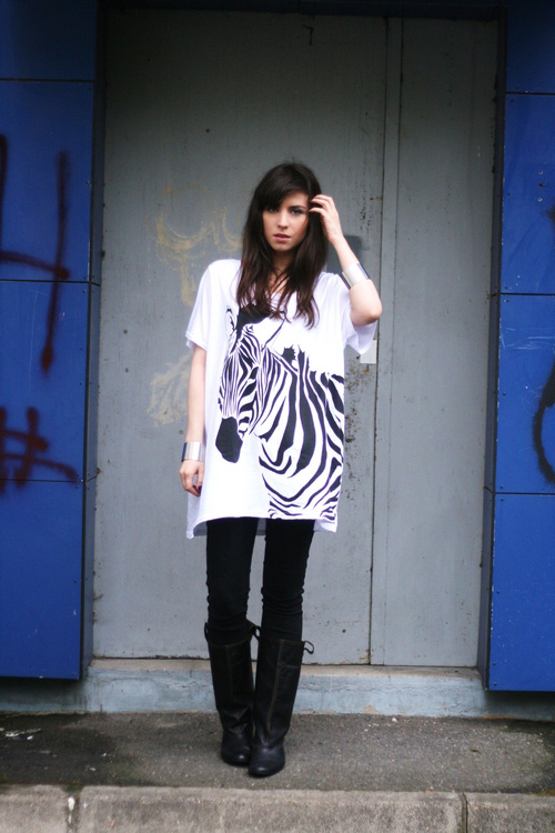 zebra-5 zebra-5