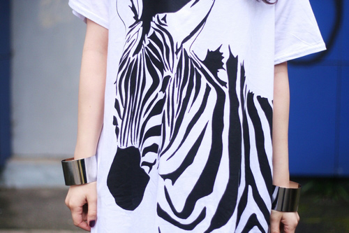 zebra zebra