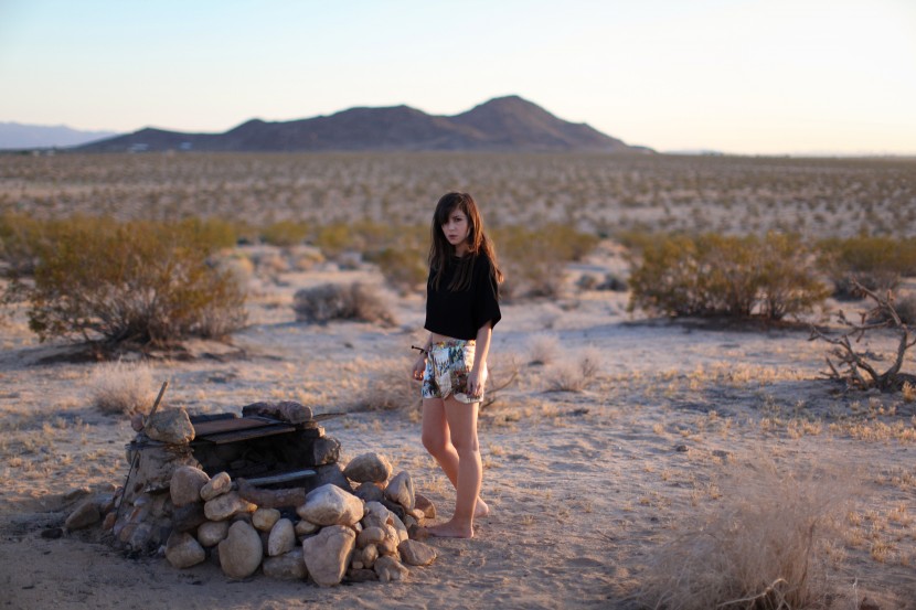 joshua tree 4