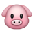 (OIN)