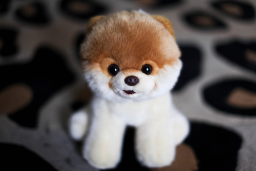 BOO ! Et sincèrement je me demande QUI aurait pu résister à la peluche Boo ! Personne !! ( Chez Urban Outfitters) BOO ! Et sincèrement je me demande QUI aurait pu résister à la peluche Boo ! Personne !! ( Chez Urban Outfitters)