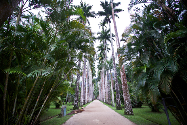 Jardim botanico rio