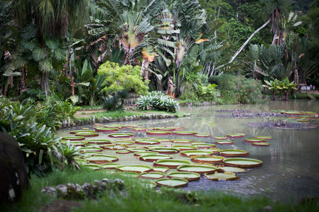 Jardim botanico rio