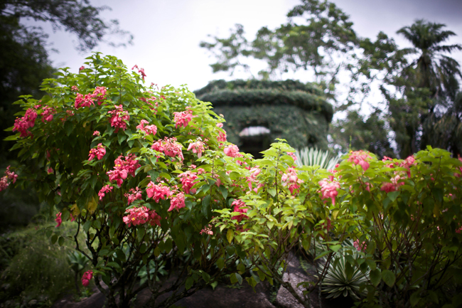 Jardim botanico rio