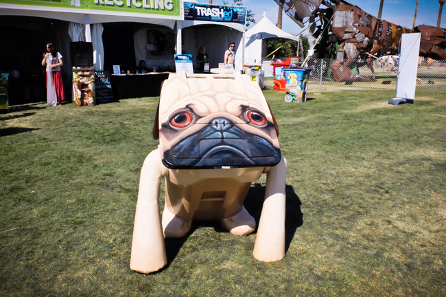 coachella lacoste