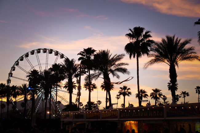 coachella lacoste