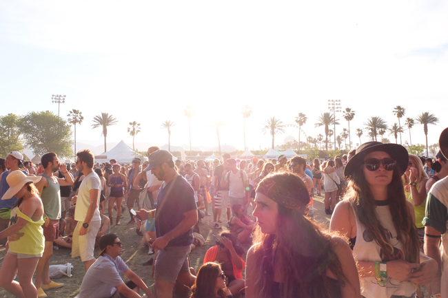 coachella lacoste