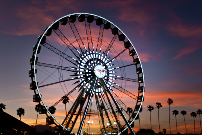 coachella lacoste