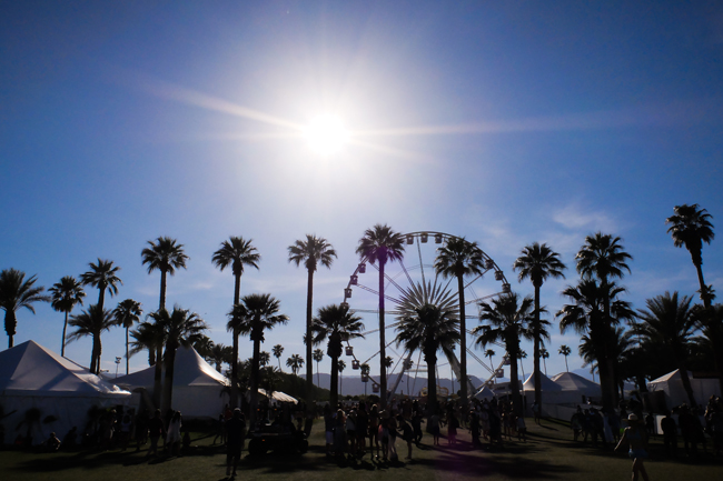 coachella lacoste