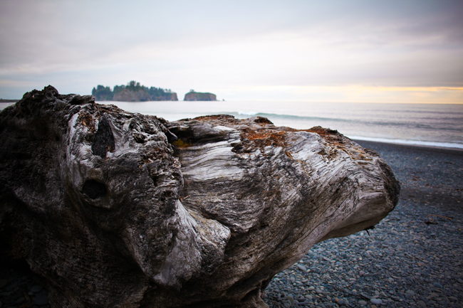 Rialto Beach
