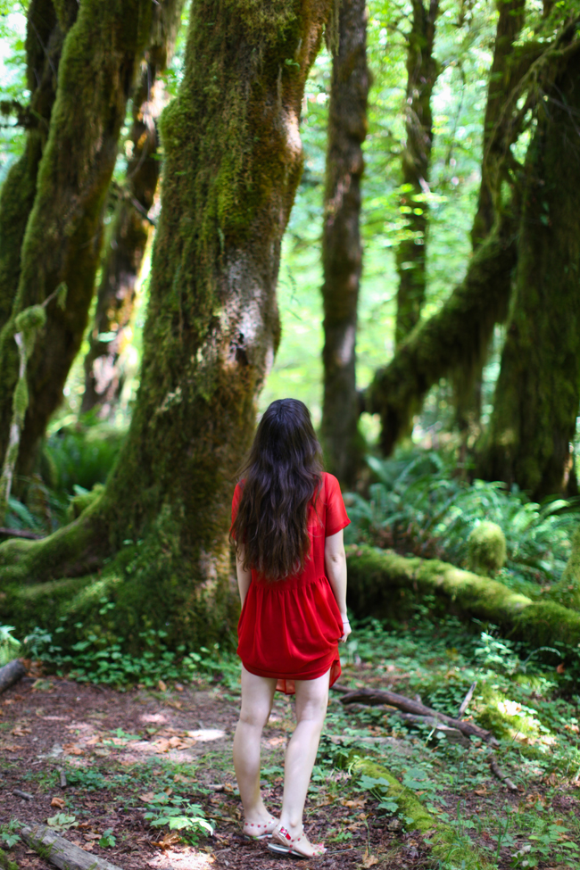 Hoh Rainforest