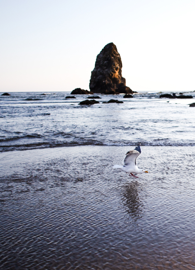 Cannon beach