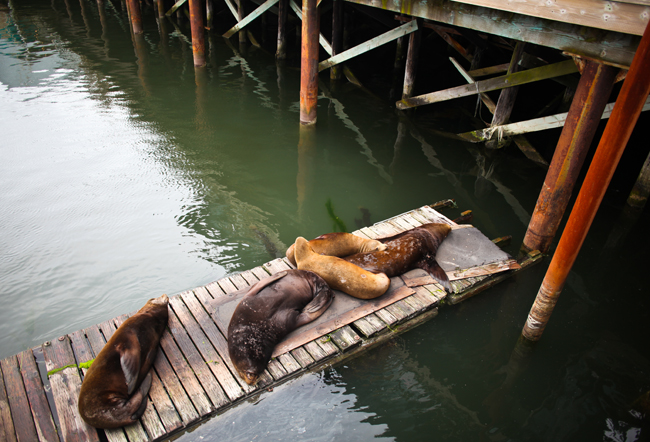 Newport Oregon