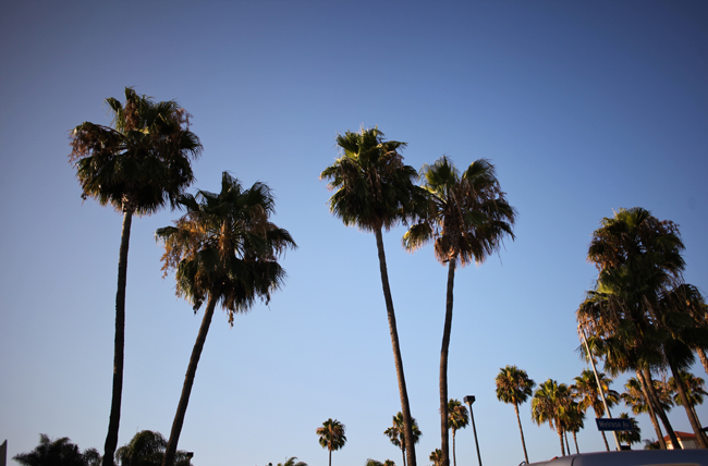 LA to Orlando