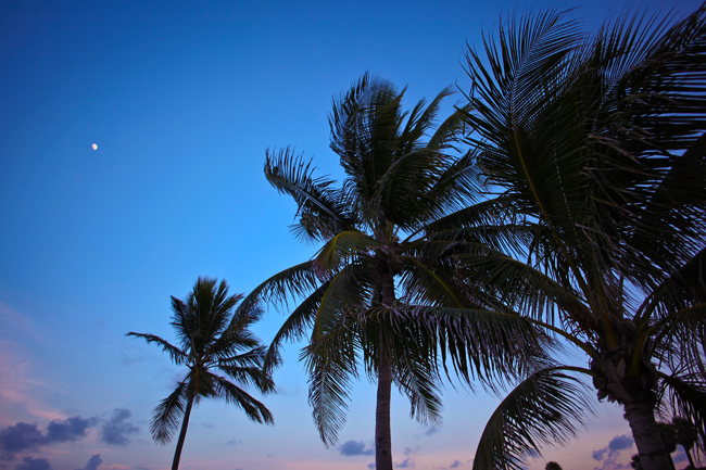 Miami Beach