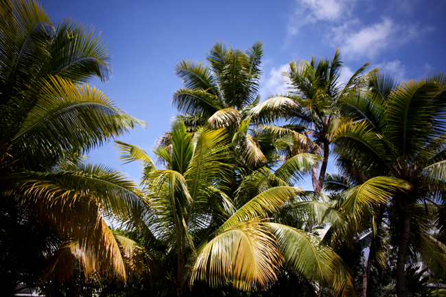 Key west