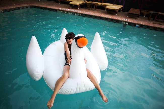 Swan float