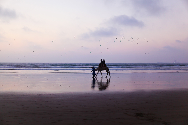 Agadir sofitel