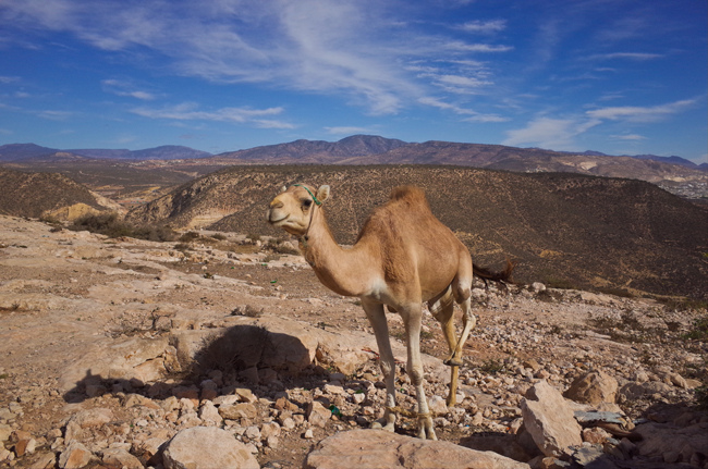 Agadir Maroc