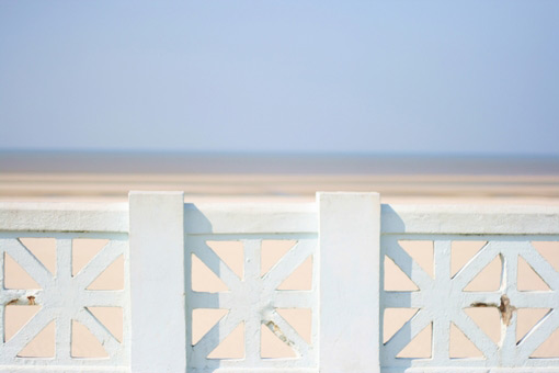 holiday-celebrate holiday-celebrate